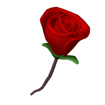 Gif animé coeur  et rose rouge